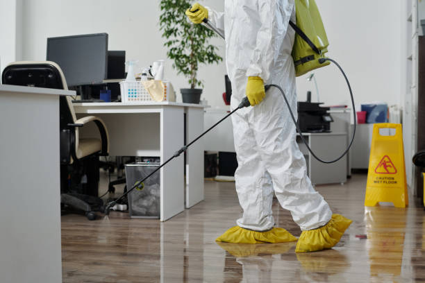COVID Cleaning Sydney: Protecting Staff and Customers